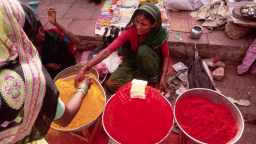 Léky v kořenkách: Bylinky, které vám můžou zachránit život (nebo aspoň peníze)