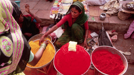 Léky v kořenkách: Bylinky, které vám můžou zachránit život (nebo aspoň peníze)