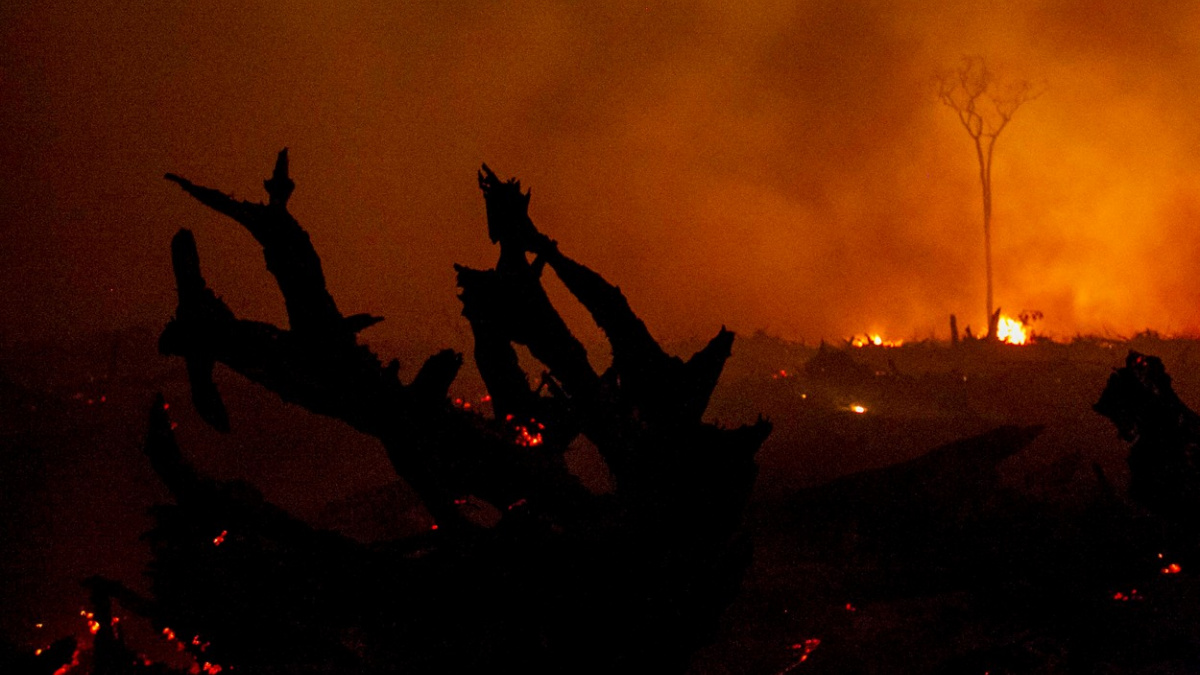 Nejčtenější články na Tiscali.cz za rok 2015