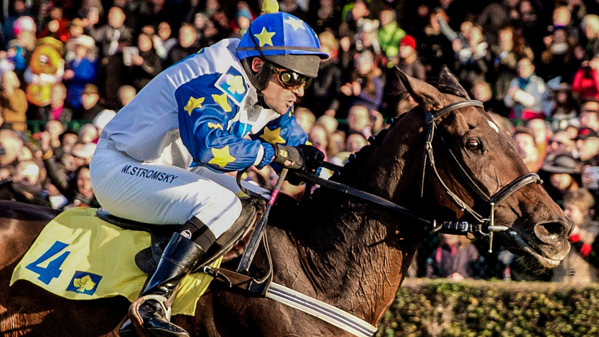 Doping prokázán! Vítěz Velké pardubické bude poprvé v historii diskvalifikován