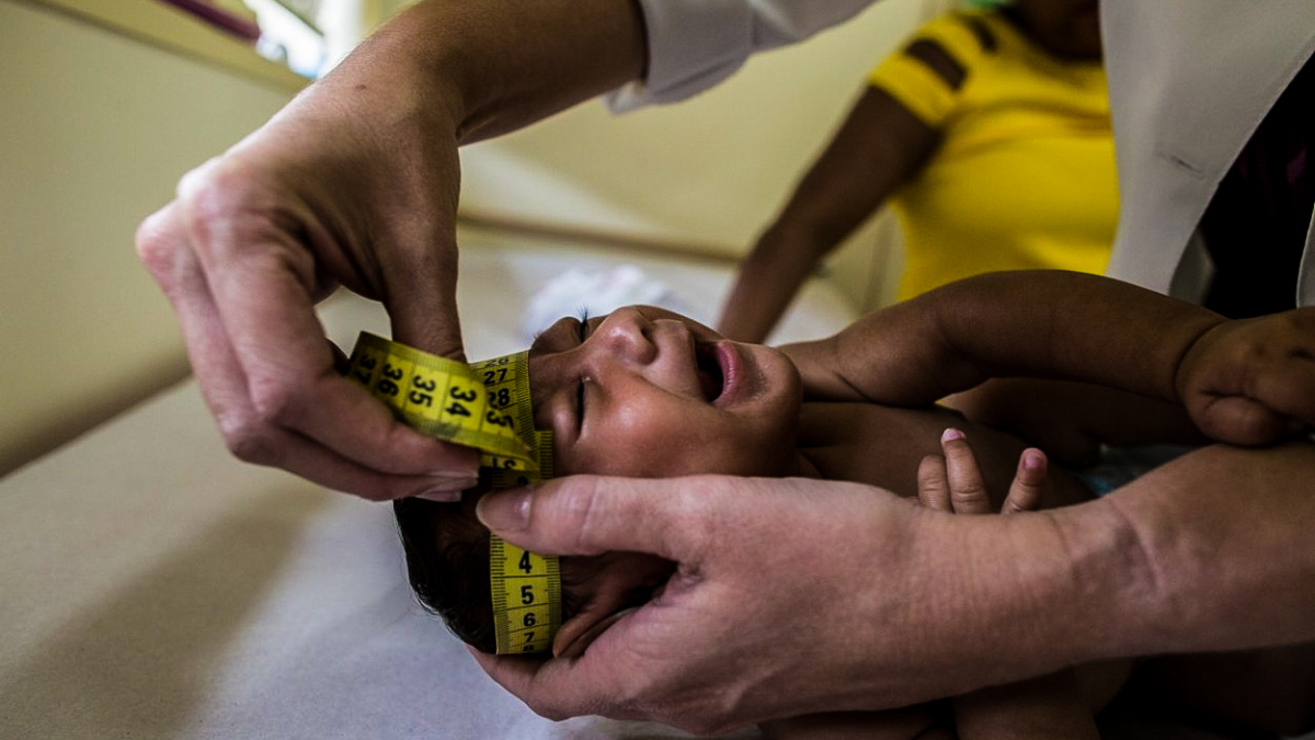 Virus zika je v Evropě. První případy hlásí Dánové a Britové