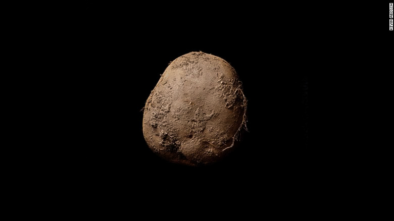 Slavná brambora. Její portrét prodal fotograf za milion euro