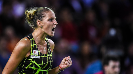 Aktualizováno: Fed Cup: Plíšková porazila světovou trojku, Kvitová druhý bod nepřidala