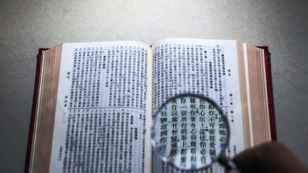 Proč má někdo nadání na studium jazyků a někdo ne