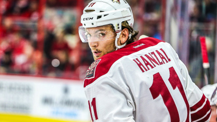 Jágr, Hemský a Hanzal vstřelili gól. Čeští brankáři neměli svůj den