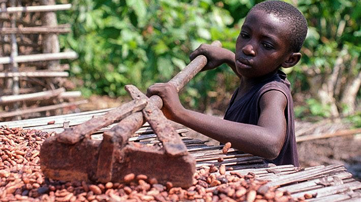 Proč (česká) čokoláda chutná po dětské práci