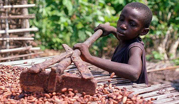 Proč (česká) čokoláda chutná po dětské práci
