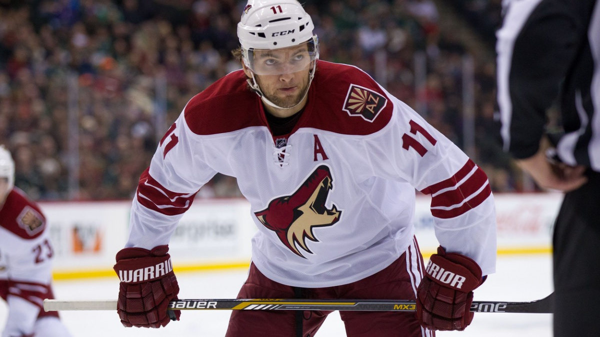 Čechům se v NHL střelecky dařilo, Hanzal vstřelil stou branku