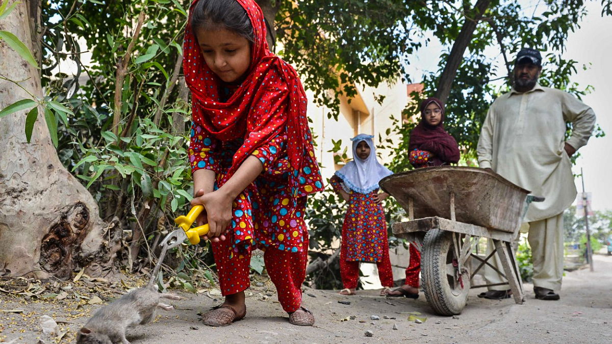 Horší než islamističtí hrdlořezové. Přemnožili se a zabíjejí malé děti
