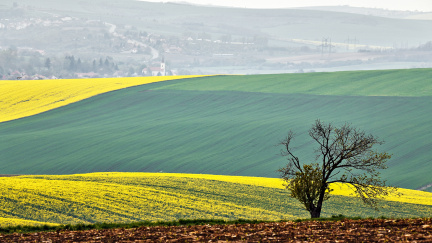 Drobní vlastníci půdy, plačte!