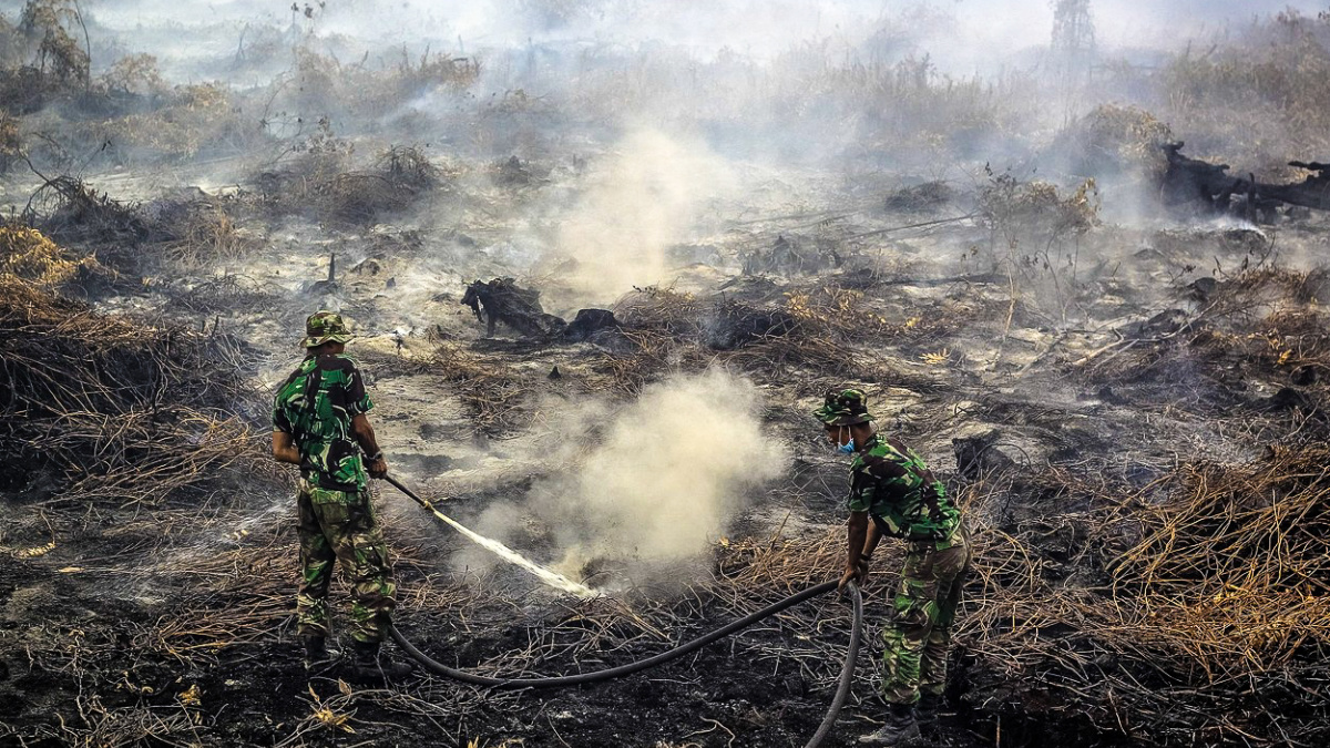 S palmovým olejem na věčné časy
