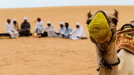Písek jako výnosný byznys: Největšími kupci jsou pouštní země