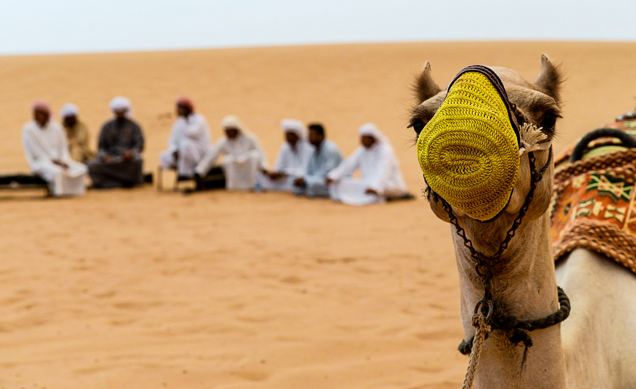 Písek jako výnosný byznys: Největšími kupci jsou pouštní země