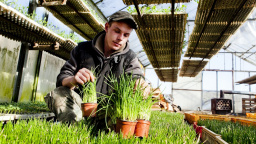 Hospodářská komora chce paušální daň pro podnikatele, vláda je proti
