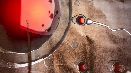 Lidská evoluce stále pokračuje. Jak se dál vyvíjíme?