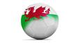 Wales - soupiska fotbalové reprezentace pro Euro 2016