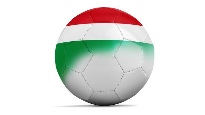 Maďarsko - soupiska fotbalové reprezentace pro Euro 2016