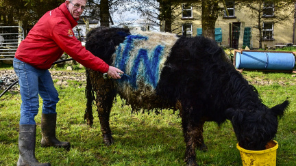 Odejít či zůstat: O osudu Británie mohou nakonec rozhodnout Irové