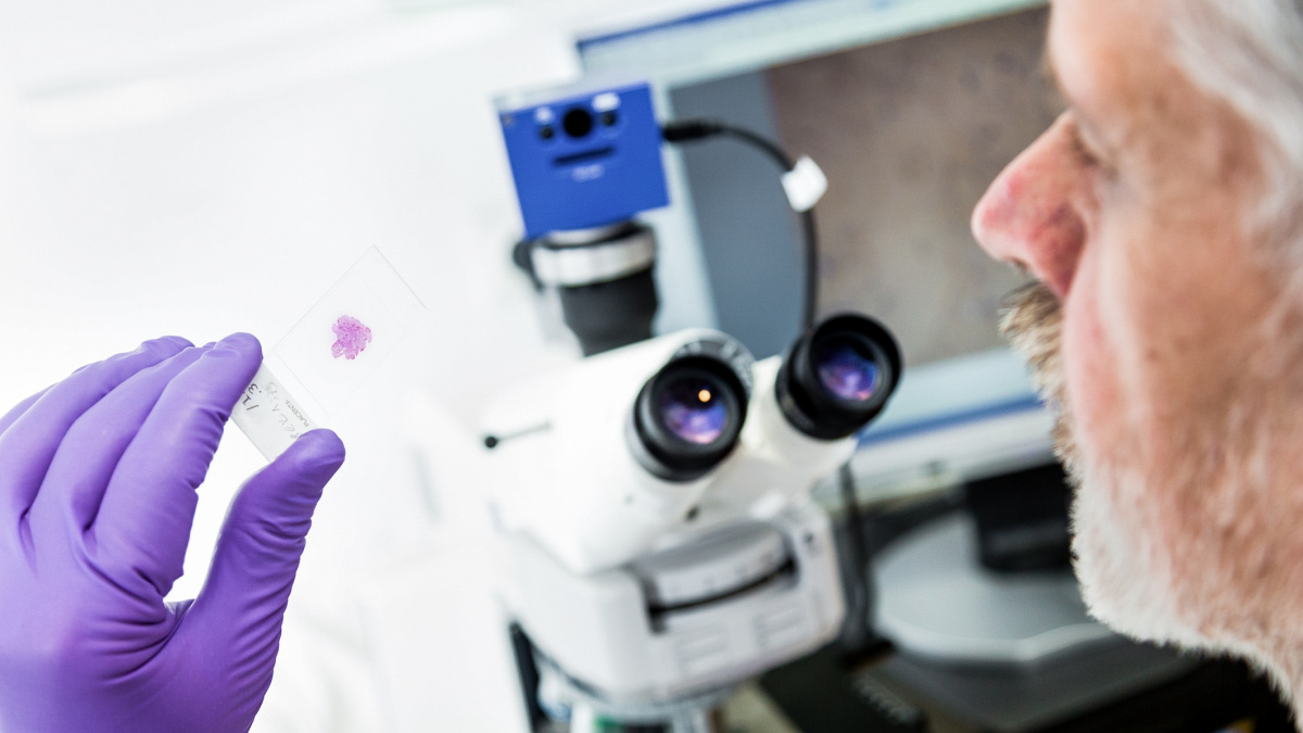 Český projekt 'Nevina': Před soud se vrací třináct let stará vražda šestnáctileté studentky