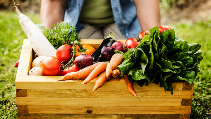 Téměř vše, co jíme, je geneticky modifikované. I to s nálepkou 'bio'