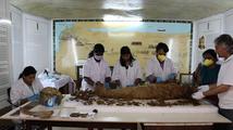 Restaurování mumie egyptské princezny Naishu
