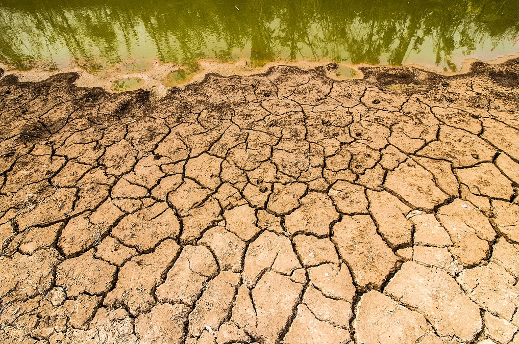 Sice prší, vody ale přesto není dost. Jak dobře je Česko připraveno na sucha?