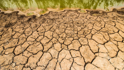 Sice prší, vody ale přesto není dost. Jak dobře je Česko připraveno na sucha?