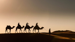 60 stupňů ve stínu: Ještě větší uprchlickou krizi můžou způsobit vedra