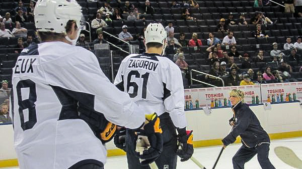 Revoluce v hokeji! V NHL bude první ženská trenérka