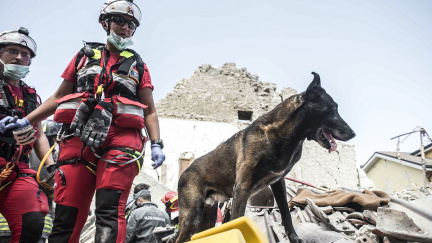 Děsivé ticho nad troskami: Naděje na záchranu obětí v Itálii slábnou