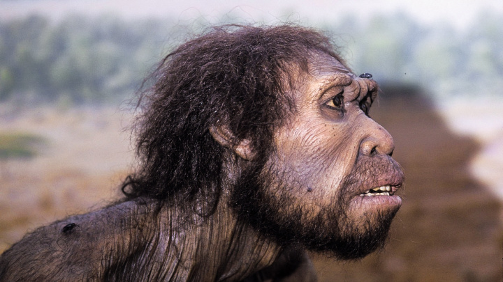 Rakovina jako metla moderní doby? Kdepak, je stará jako lidstvo samo