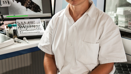 DNA zvířat a rostlin jako klíč k objasnění zločinů