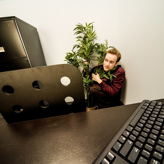 Pomáhají openspace kanceláře skutečně stmelovat kolektiv? Vědci mají jasno