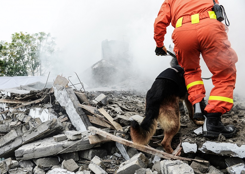 Terorismus, přírodní katastrofy… Čeští velvyslanci dostanou manuál pro krizové situace