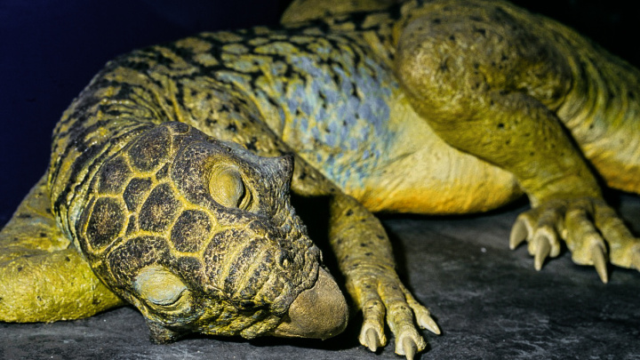 Jaké zbarvení měli dinosauři? Unikátní nález poodhalil tajemství pravěku