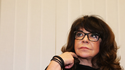 Peroutkova vnučka podala návrh na exekuci. Trvá na omluvě Hradu