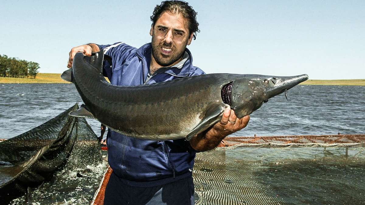 Kaviárové impérium v zemi, kde byste ho nečekali: Gurmány dobývá uruguayská firma