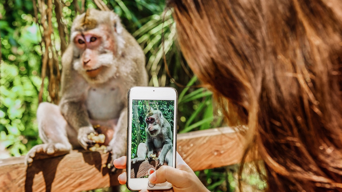 Mobily a počítače ovlivňují lidskou evoluci. Jak postupně mění člověka?