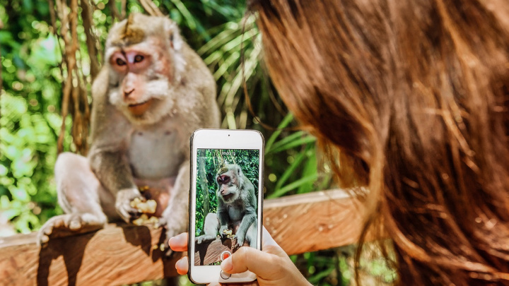 Mobily a počítače ovlivňují lidskou evoluci. Jak postupně mění člověka?