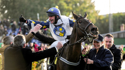 Krmili ho kofeinem, nebo čokoládou? Soud rozplétá záhadu 'nadopovaného' koně