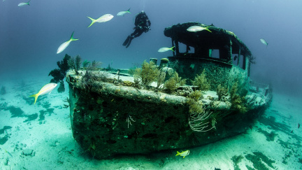 Hřbitovy lodí: Tisíce vraků, které se pomalu rozkládají v písku