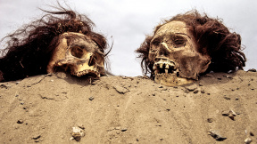 profimedia-0043284641