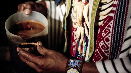 Hollywood a Silicon Valley šílí z 'šamanské drogy'. Zajímají se o ni i vědci