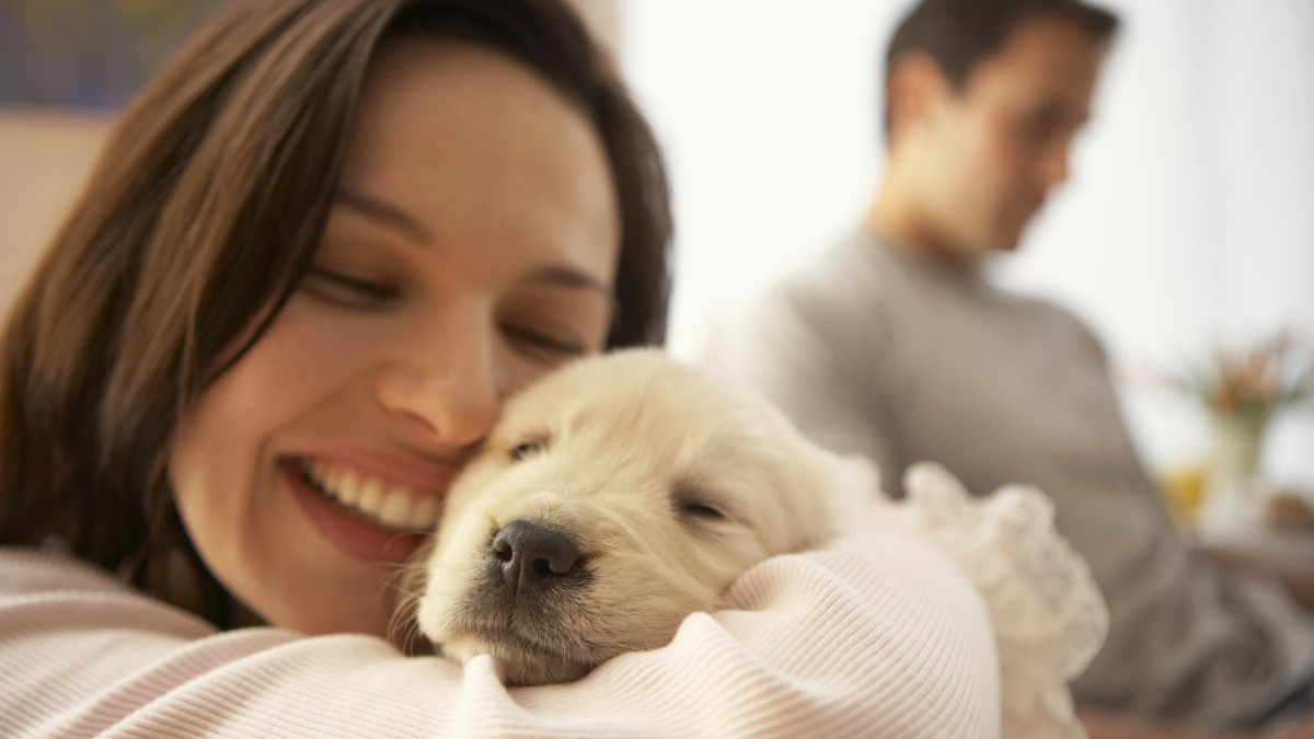 ŽENY s.r.o.:  Ženy věrnost ani spolehlivost muže nezajímá