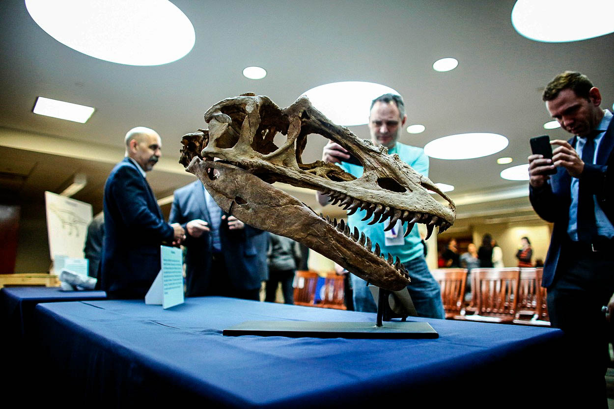 Vraťte nám naše dinosaury, žádají Mongolové. Nicolas Cage je už poslechl
