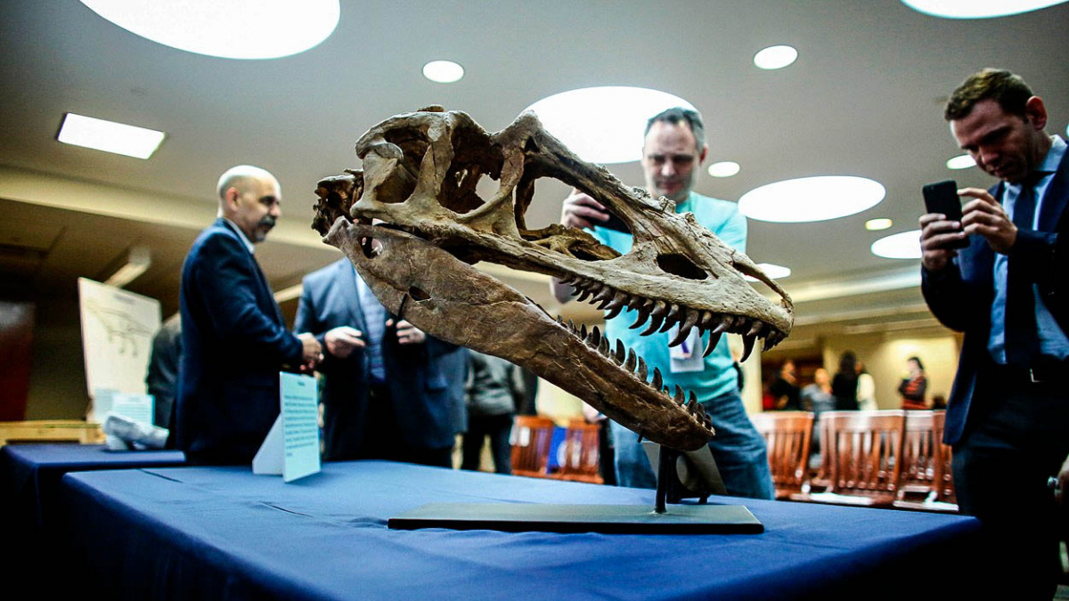 Vraťte nám naše dinosaury, žádají Mongolové. Nicolas Cage je už poslechl