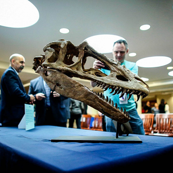 Vraťte nám naše dinosaury, žádají Mongolové. Nicolas Cage je už poslechl