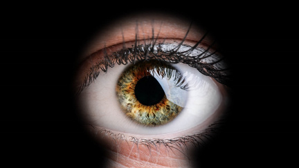 Nominace Big Brother Awards: Ze soukromí lidí nejvíc ukusují informační technologie