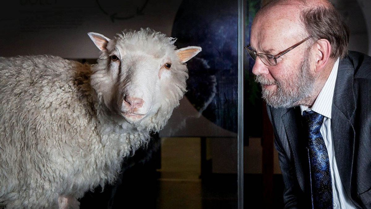 Den, kdy svět poznal Dolly. Ovci, která změnila pohled na klonování