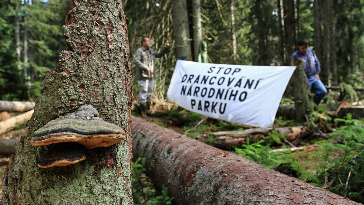 Utlačuje nás příroda? Spor o národní parky je sporem o základní hodnoty